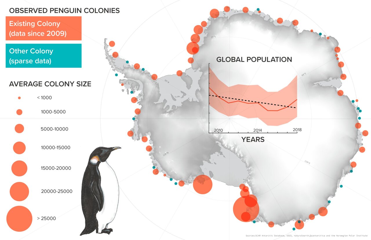 Penguin Colonies